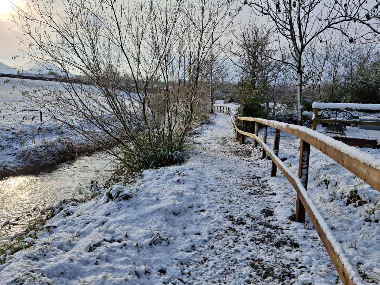 Riverside Cabin Limerick Bagian luar foto