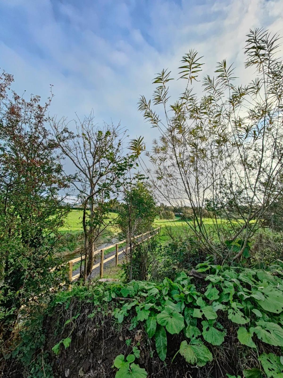 Riverside Cabin Limerick Bagian luar foto